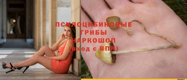 а пвп мука Верхний Тагил
