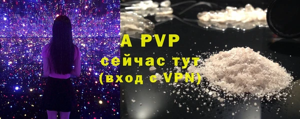 прущие грибы Верхнеуральск