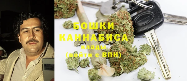 прущие грибы Верхнеуральск
