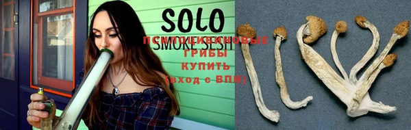 прущие грибы Верхнеуральск